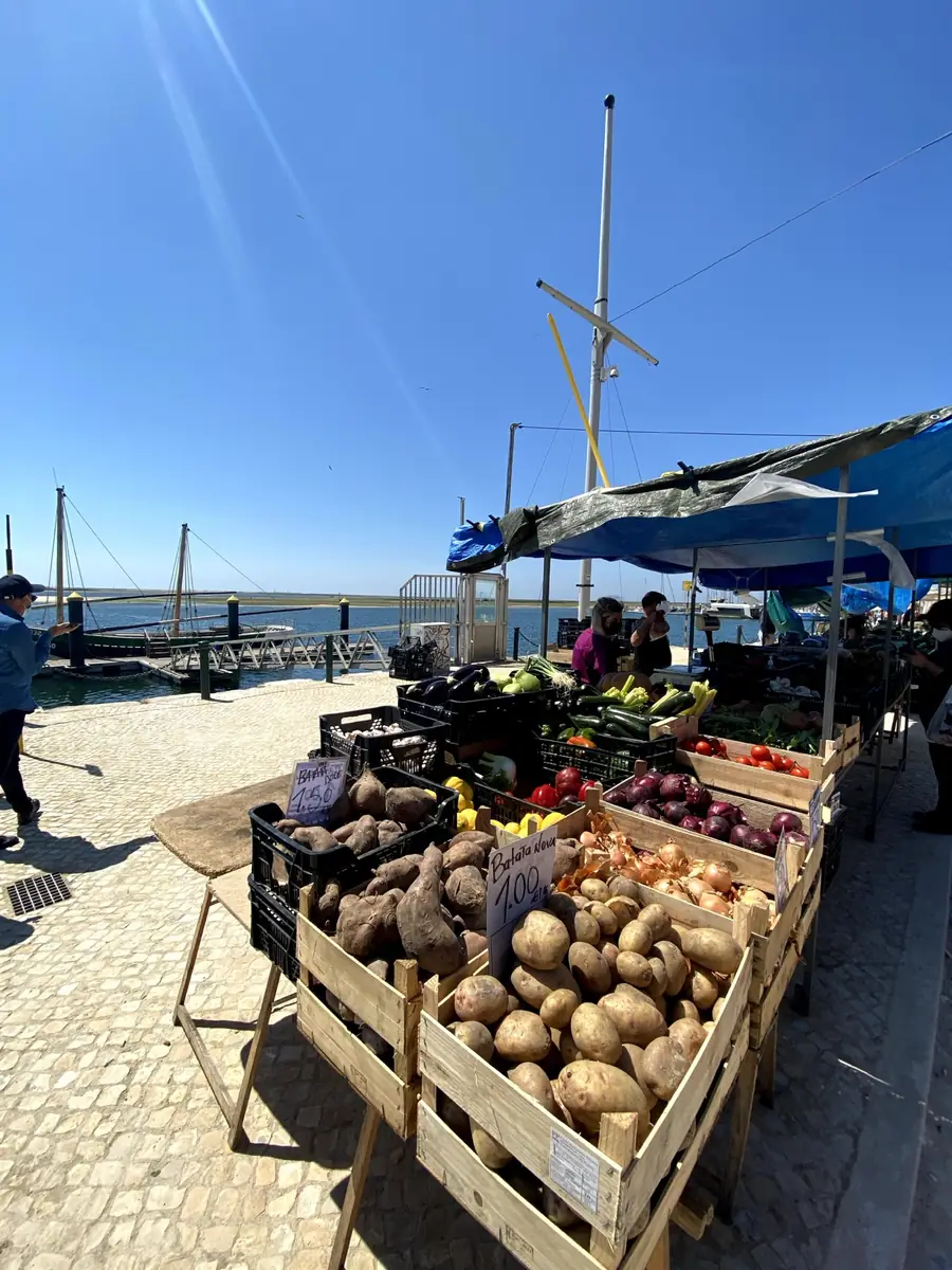 Caixas de legumes à beira da ria